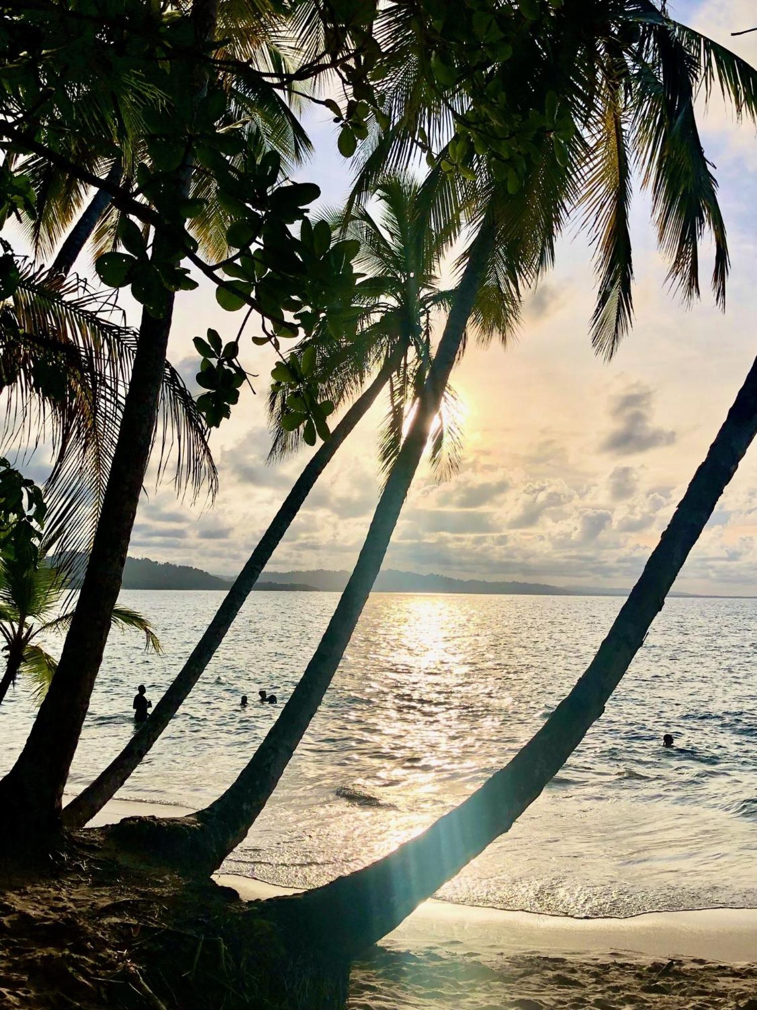 Cabinas Ole Caribe Puerto Viejo de Talamanca Buitenkant foto