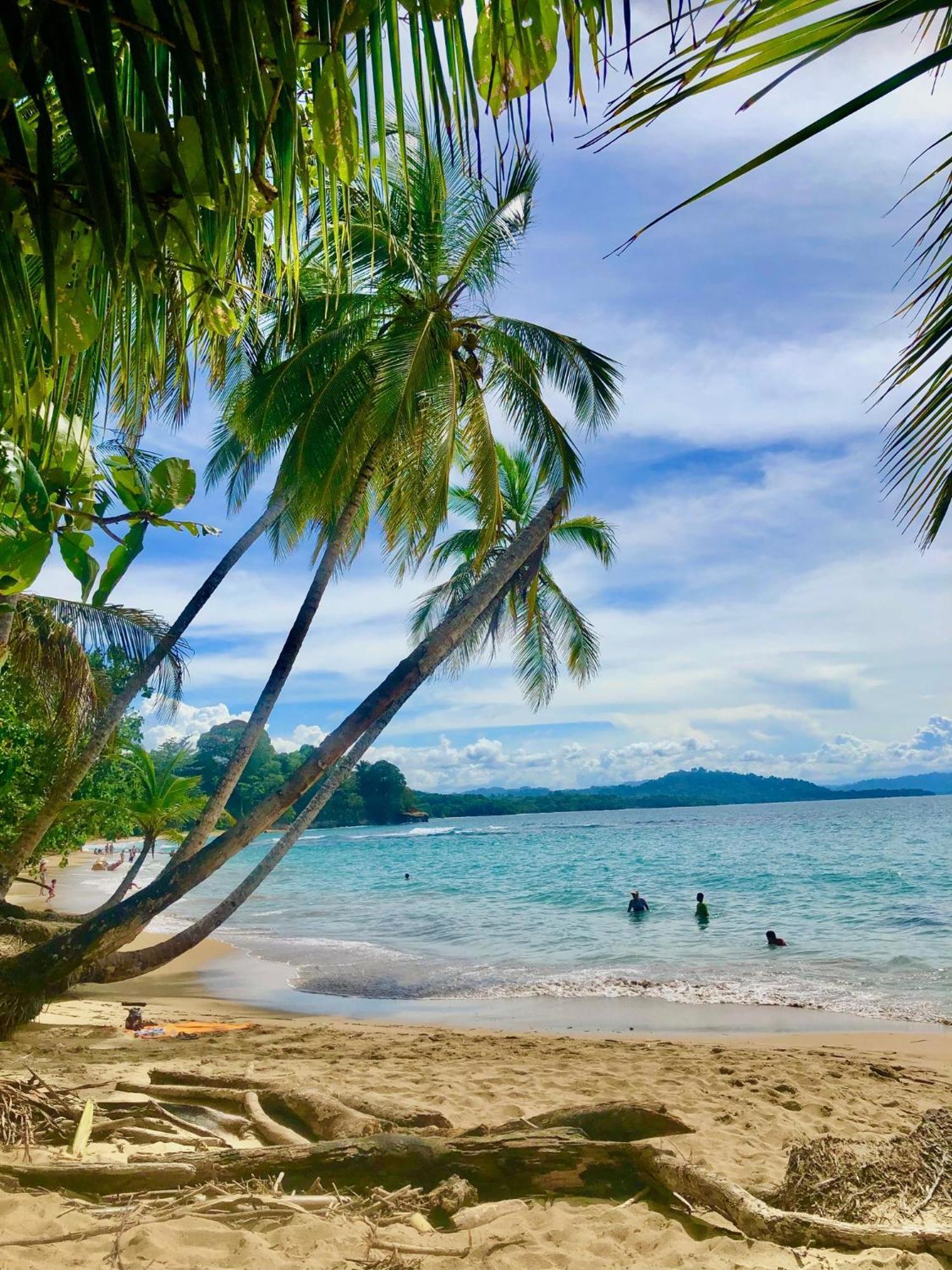 Cabinas Ole Caribe Puerto Viejo de Talamanca Buitenkant foto