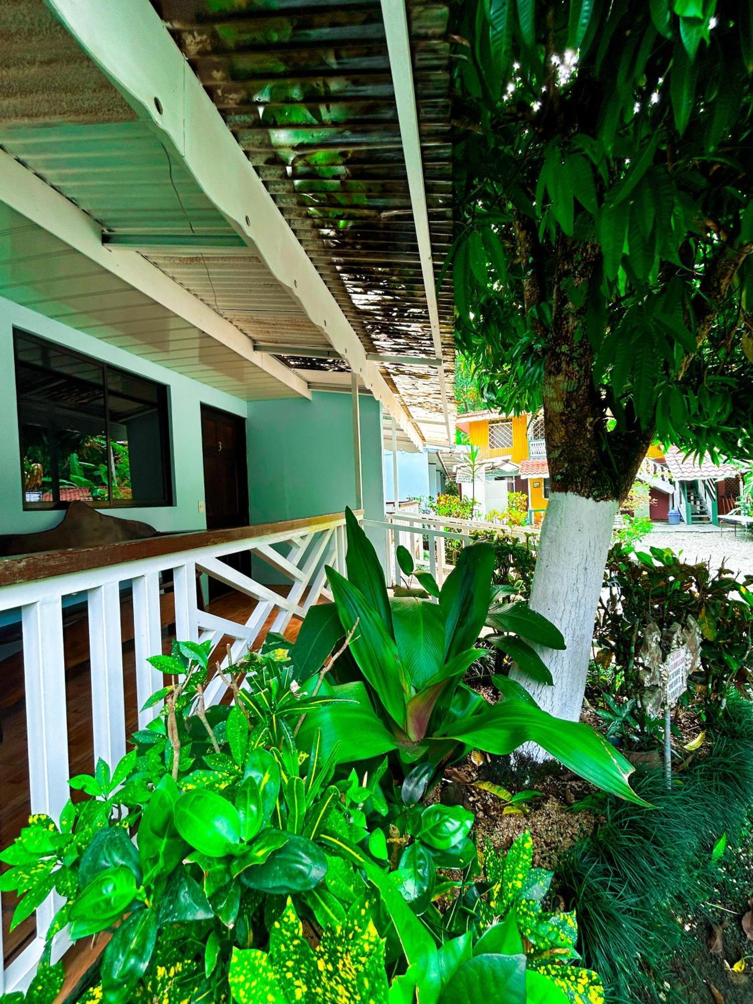 Cabinas Ole Caribe Puerto Viejo de Talamanca Buitenkant foto